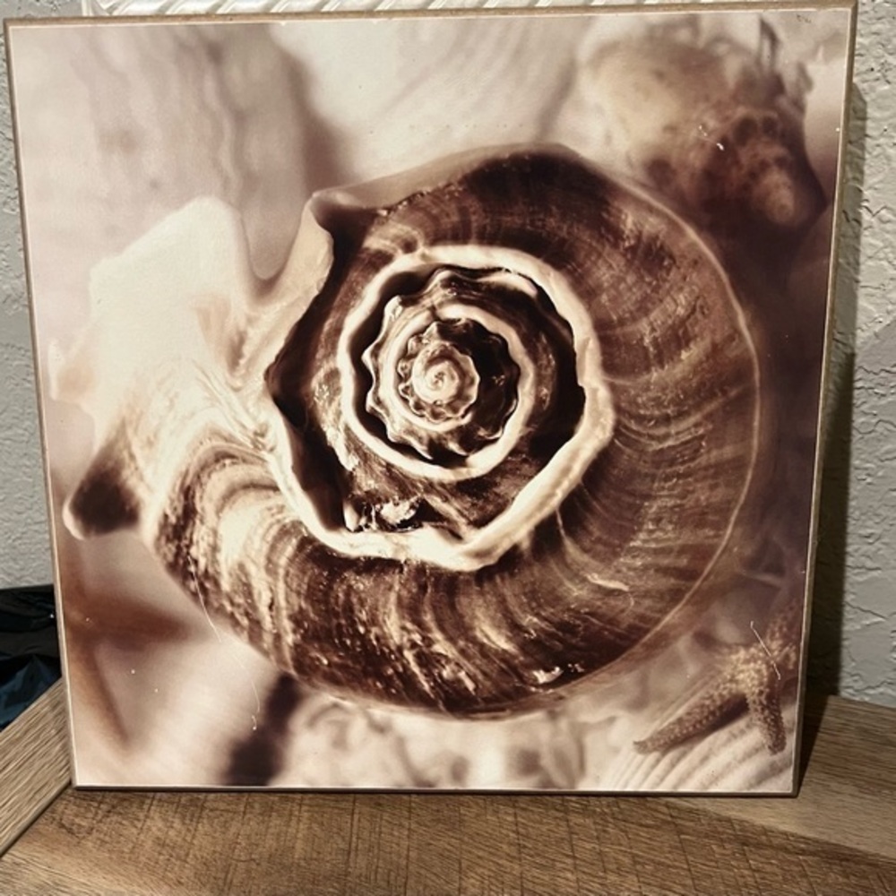 Seashell tile